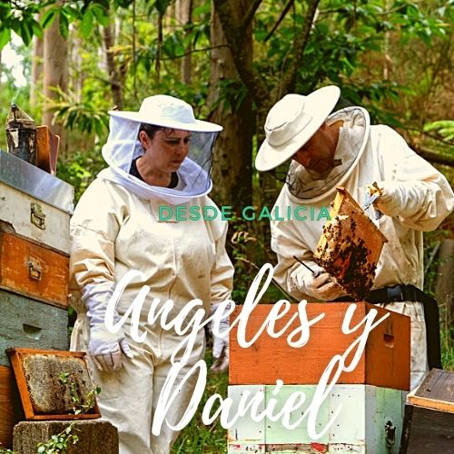 Miel cruda y pura de abeja 100% natural y Membrillo La Gallega 2 Apicultores Galicia